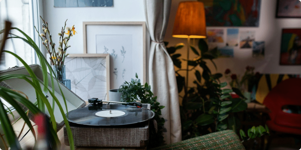 Le préampli : amplificateur de signal